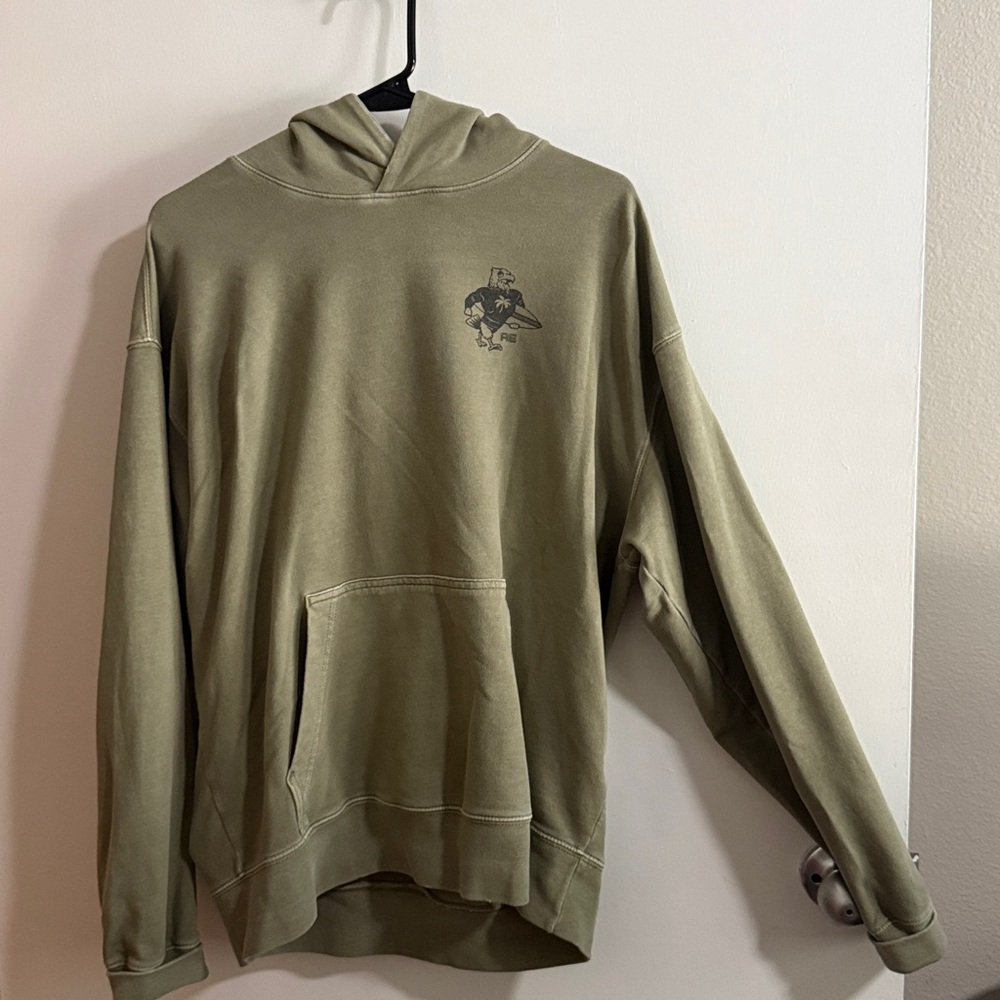 American Eagle Outfitters Sage Green Hoodie